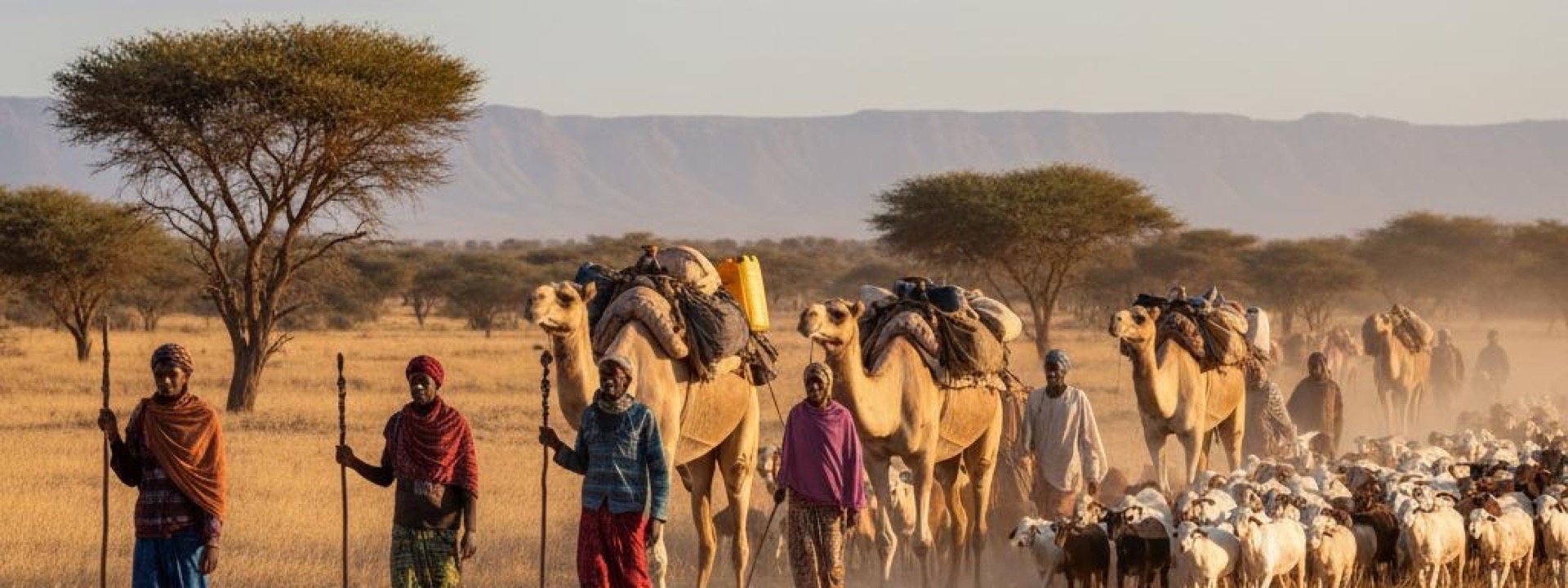 Empowering ASAL Communities for a Resilient Future